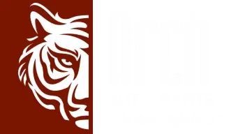 Arch Auto Parts